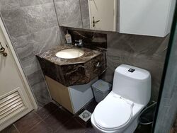 Parc Oasis (D22), Condominium #581296641